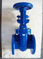 (BS) Cast Iron Gate Valve (RS)