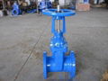 (ANSI) Cast Iron Gate Valve(RS)