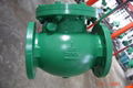  (ANSI) Swing Check Valve 2