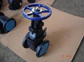 (BS) Cast Iron Gate Valve (RS) 2