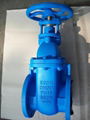 (BS) Cast Iron Gate Valve (NRS) 2