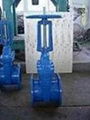 (BS) Cast Iron Gate Valve (RS) 2