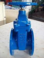  Ductile iron resilient seat NRS gate valve 2