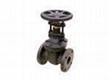  (ANSI) Cast Iron OS&Y Gate Valve 2