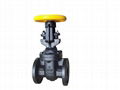 (ANSI) Cast Iron OS&Y Gate Valve