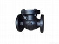  (ANSI) Swing Check Valve 1