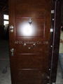 Steel wooden armoured door