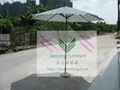 outdoor sun umbrella 5