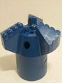 PDC drill bit 