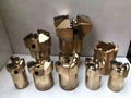 PDC drill bit