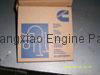 Cummins Piston Ring LT10 3803961