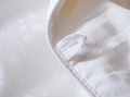 Amazon High Quality Luxury 100% Long Mulberry Silk Duvet All Season Silk Quilt
