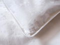 Amazon High Quality Luxury 100% Long Mulberry Silk Duvet All Season Silk Quilt 6