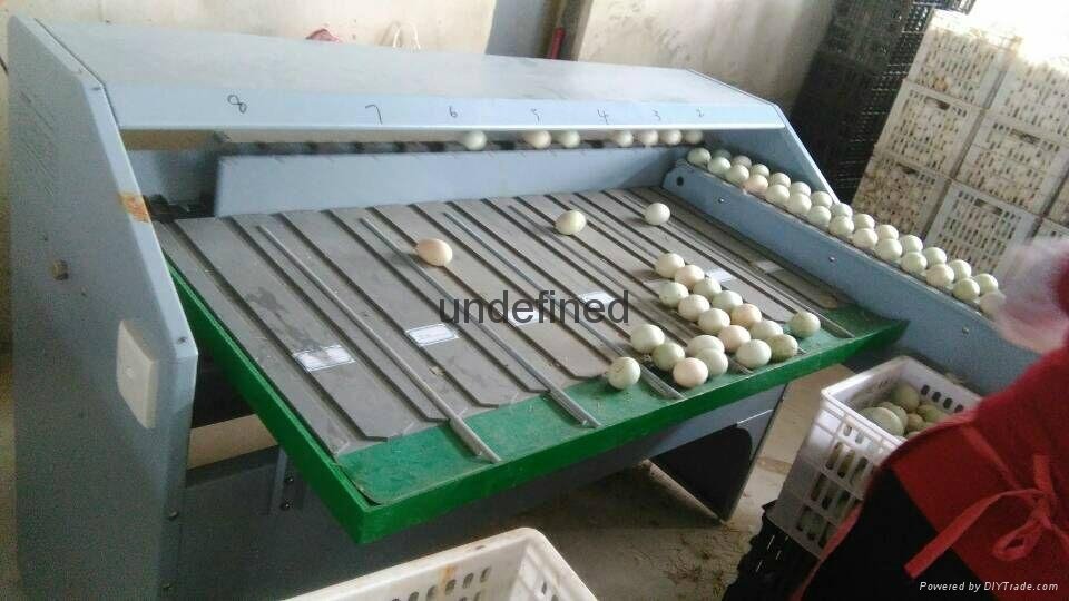 深圳振野4000枚304不锈钢实用型蛋品分级机 5