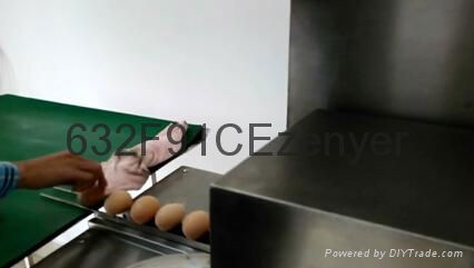 深圳振野10000枚/小時高效節能雞蛋清洗機 5