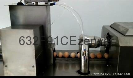 深圳振野10000枚/小時高效節能雞蛋清洗機 3