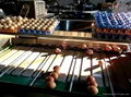 深圳振野5000枚小型鸡蛋清洗分级一体化洗蛋机 4