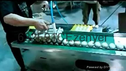 深圳振野10000枚雞蛋清洗分級一體化洗蛋機 3