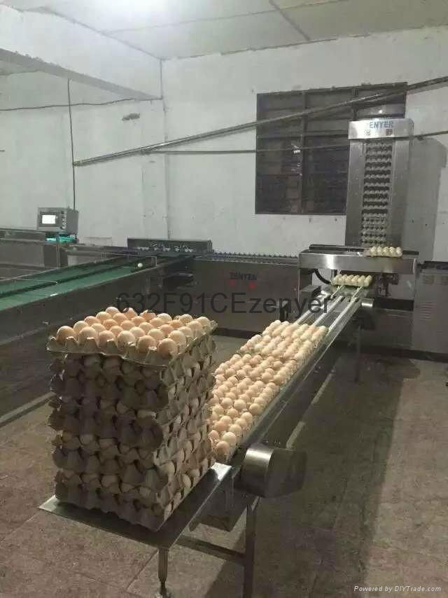 深圳振野10000枚雞蛋清洗分級一體化洗蛋機 5