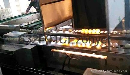 深圳振野304不锈钢15000枚双排上蛋鸭蛋清洗机 5