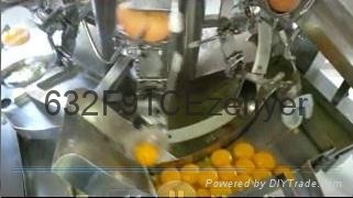 深圳振野7200枚小型蛋黃蛋清分離或不分離打蛋機 5