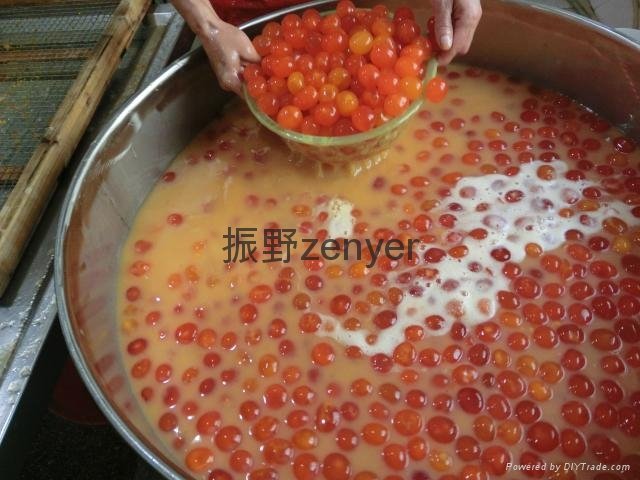 深圳振野20000枚移动式咸蛋黄清洗杀菌机 2
