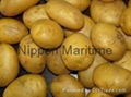 Potatoes 1