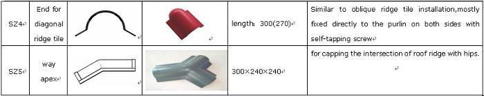 The main roof tile series 3