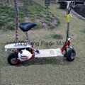 49cc gas scooter FLD-GS49-2 2