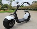 cicy coco electric motorcycle scooter 5