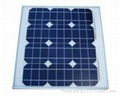 30W Monocrystalline Module  1