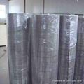 Stainless Steel Wire Mesh    4