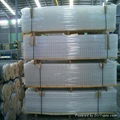 welded wire mesh 2