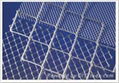 square wire mesh 5