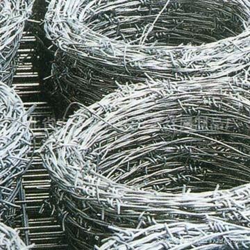 barbed wire 5