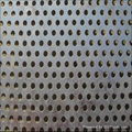 Perforated Metal mesh 3