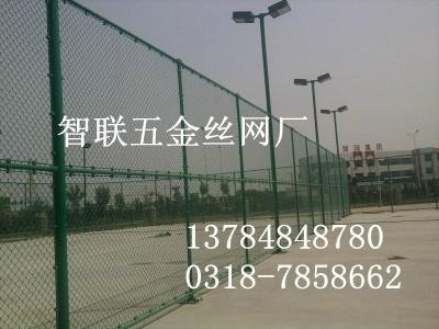 网球场围网 2