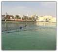 Dubai  Music Fountain