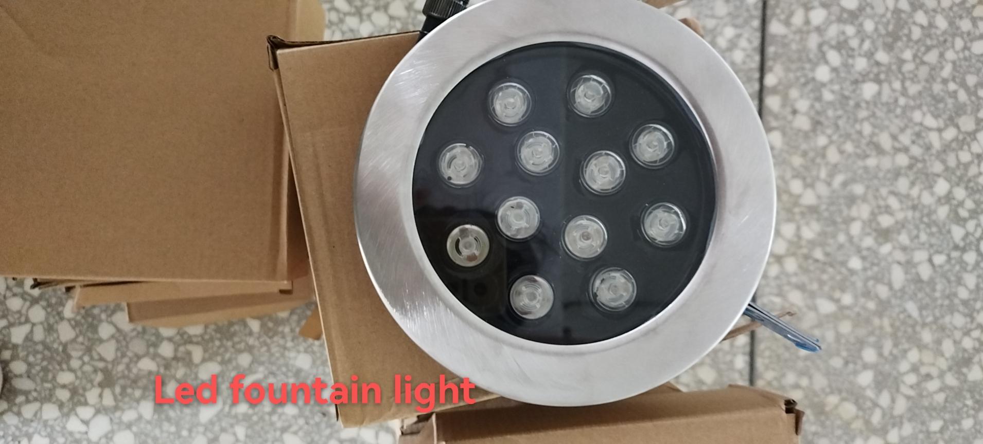 Stainless Steel LED Dry Fountain Light himalaya (China Manufacturer
