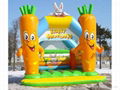 inflatable bouncer  1