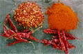 spices 1