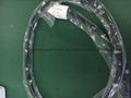 Olympus Flexible Endoscope insertion