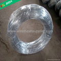 galvanized iron wire