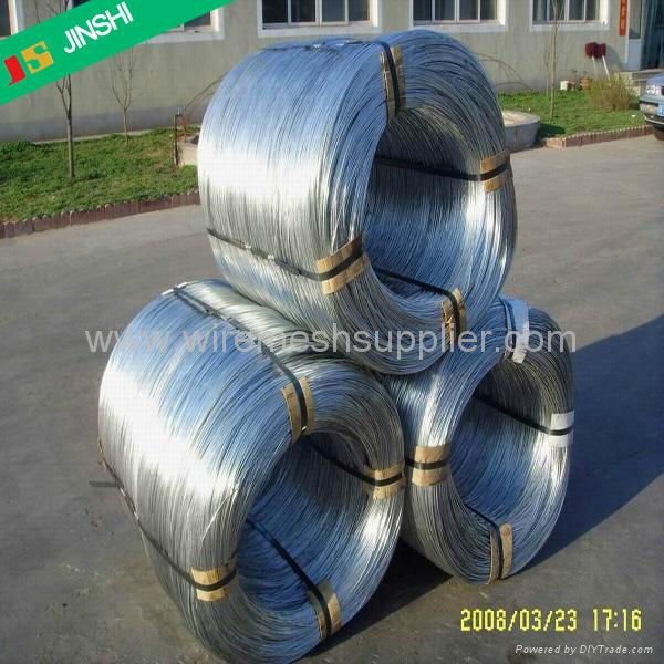 galvanized iron wire  2