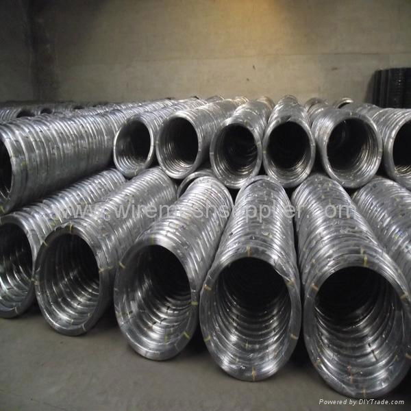 galvanized iron wire  5