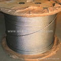 steel wire 3