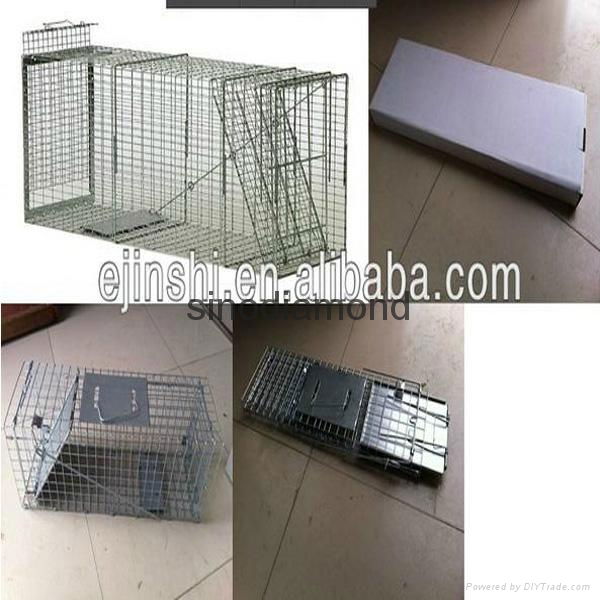 animal cage 