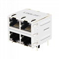 0879-2C2R-54 - 2X2 RJ45 Connector with 1000 Base-T Integrated Magnetics