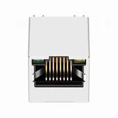 SI-46014-F | Vertical RJ45 Connector with Integrated Magnetics With Leds