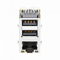 0862-1J1T-43 / 0862-1J1T-43-F Female RJ45 Connector With Dual USB